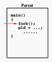 fork_1