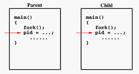 fork_2