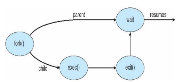 process_creation_os